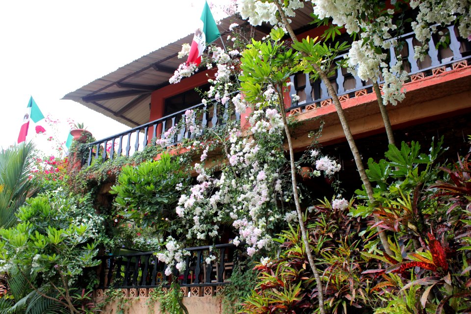 Outside Botanical Garden
