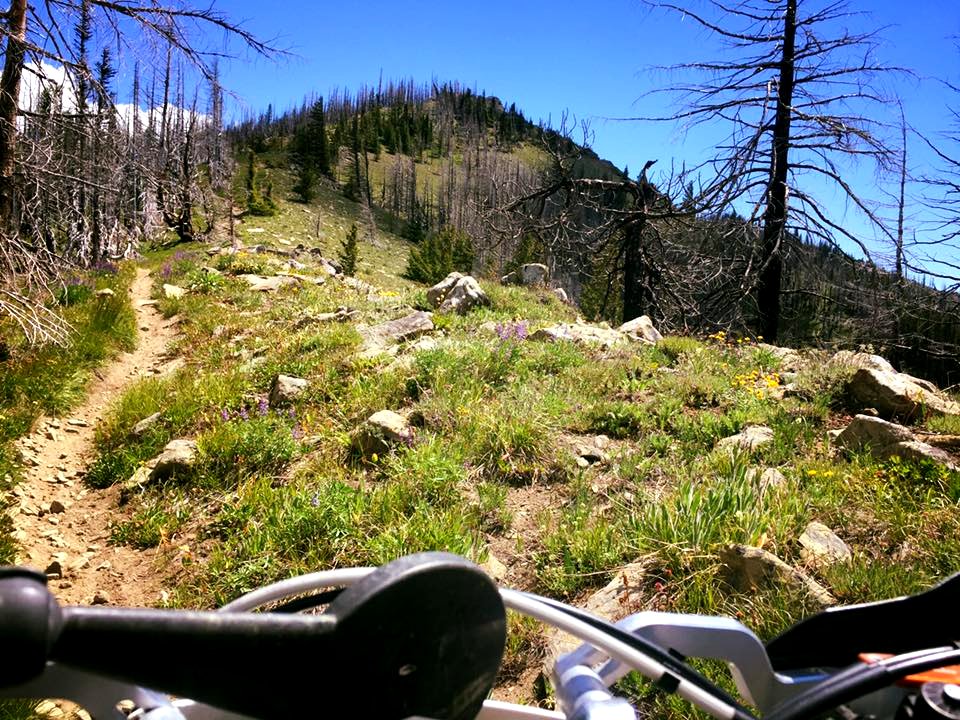 Motorcycle-ViewFromHandlebars-GoingUpTronsenRidgeTrail-OkaWenNFbyMasonSchuurUSFS-June17-2018