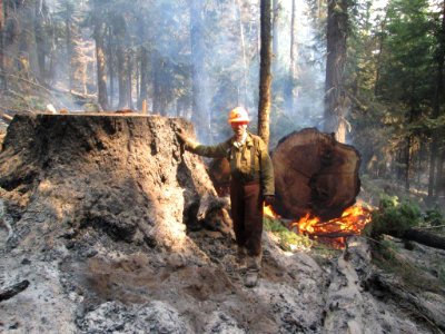 Camp Creek Complex Fire August 2014 - Faller from Adams & Adams