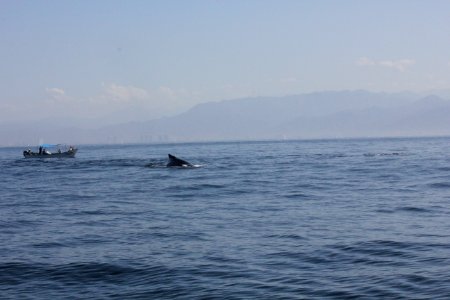 IMG 8557