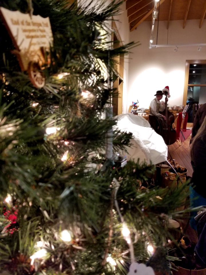 Christmas Tree with music preformer
