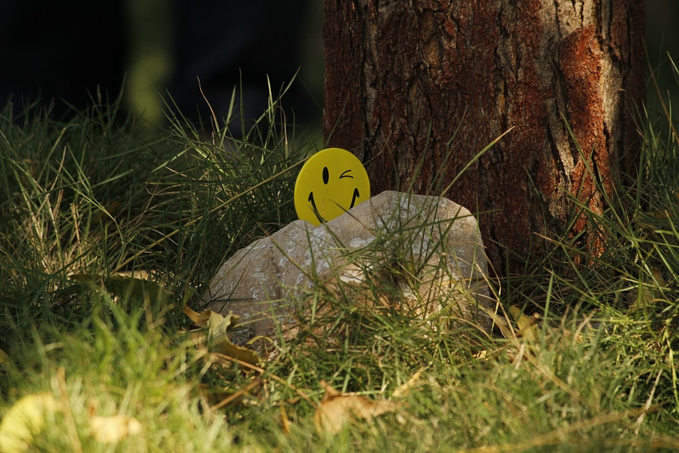 Grass stone smiley face