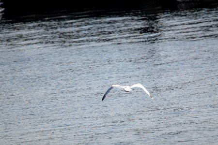 Kiel Juni 2018284
