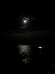 Moon is out
