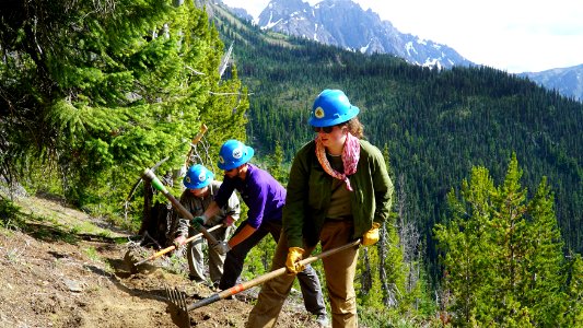 Pacific Northwest Trail Association trail crew members work on a section of trail within Olympic National Forest in 2019, photo courtesy of Pacific NW Trail Association.