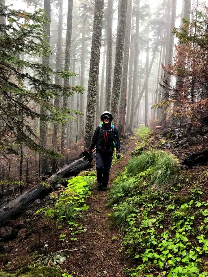 Pacific Crest Trail near Wahtum Lake in Mt Hood National Forest June 2018