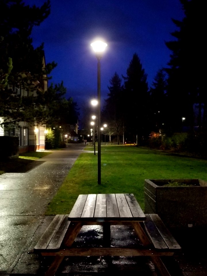 Day 016 evening walk