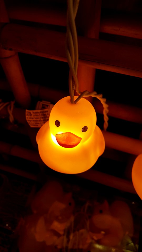 Day 155 glowing duck