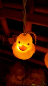 Day 155 glowing duck