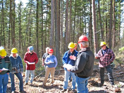 Montana Forest Restoration Working Group, Lolo National Forest photo
