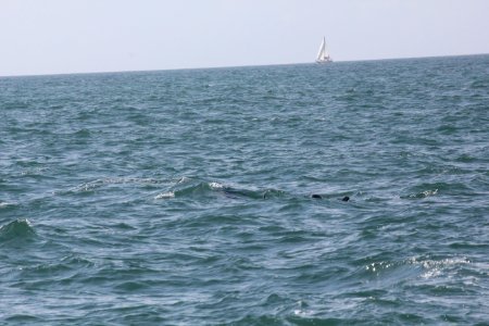 IMG 8619