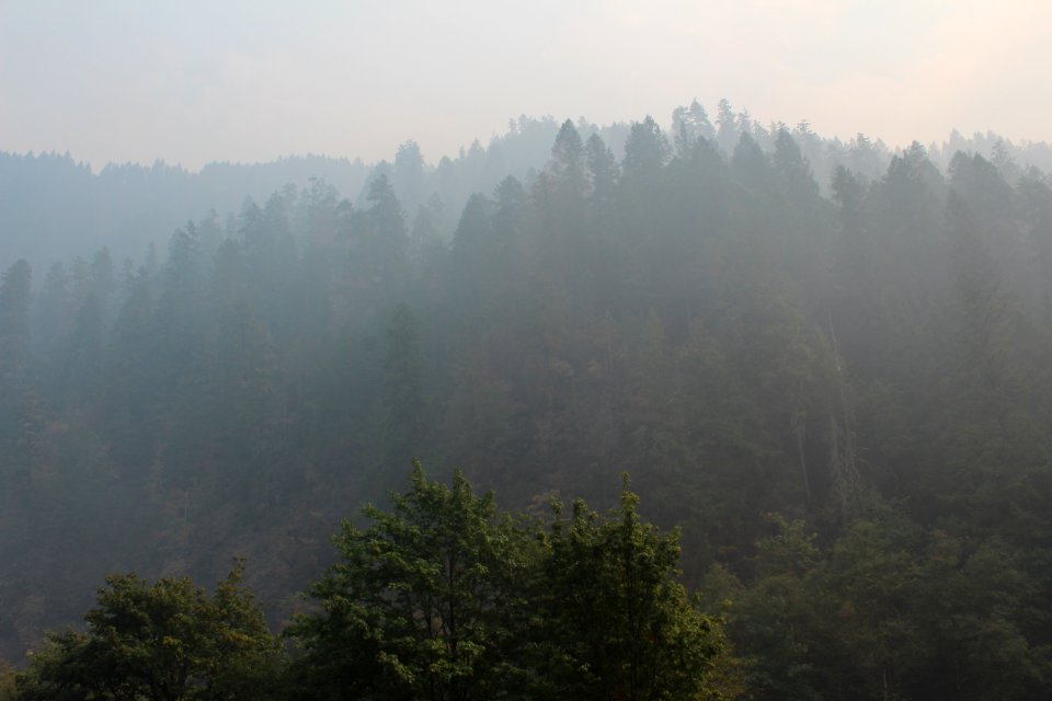 smoky-view-from-home-along-river