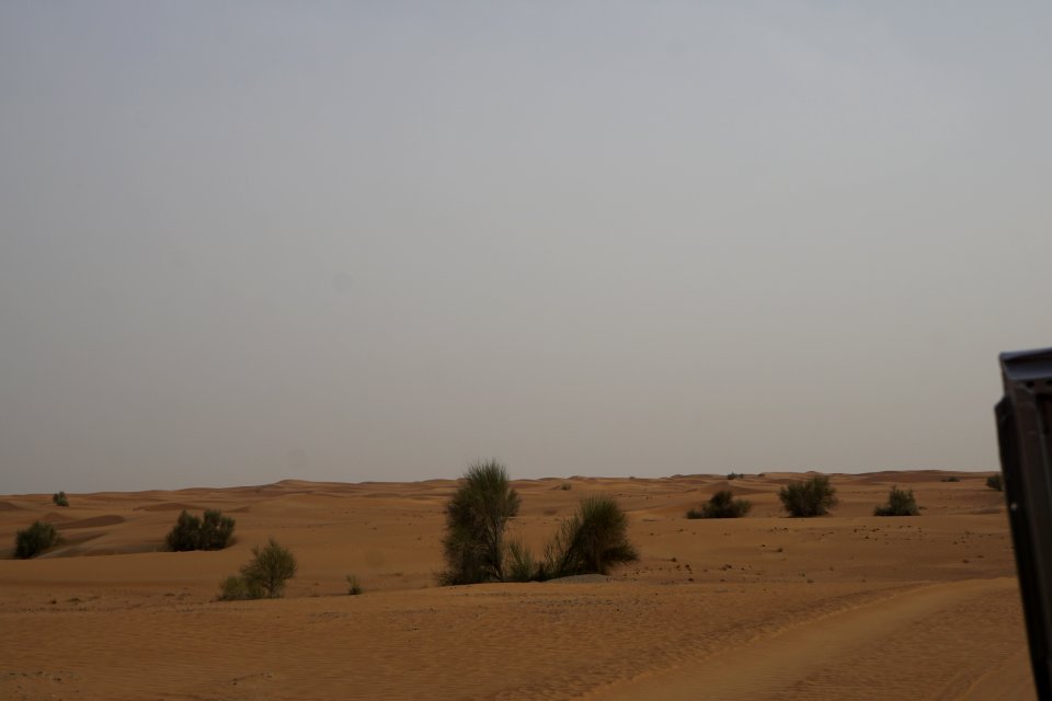 Desert