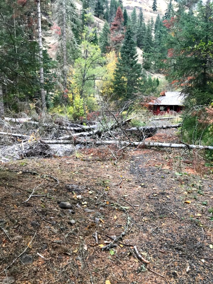 Forest Service Road 32 (Umatilla River)