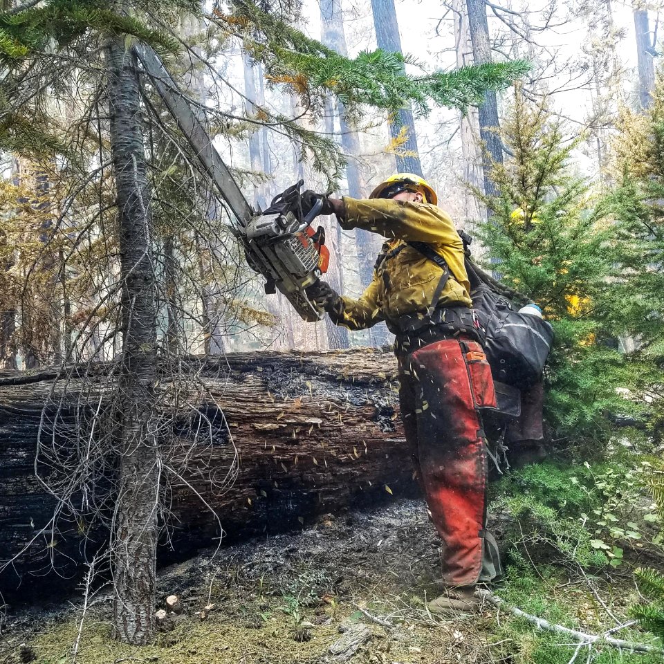 Thielsen Fire, sawyer