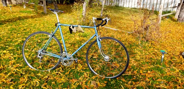 THE MIGHTY TEN SPEED