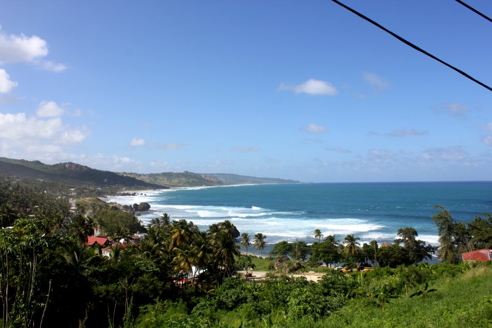 IMG 0252