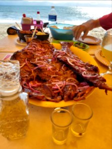 snapper and complimentary tequila