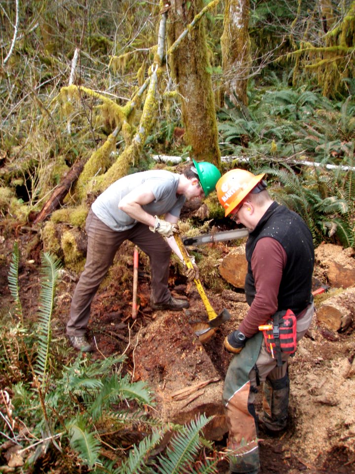 2020 February Olympic WTA and BCH volunteers work on Bogachiel Trail. Photos courtesy of Washington Trails Association. Washington Trails Association and Backcountry Horsemen volunteers provide critical mainenance to Olympic National Forest & Park trails.
