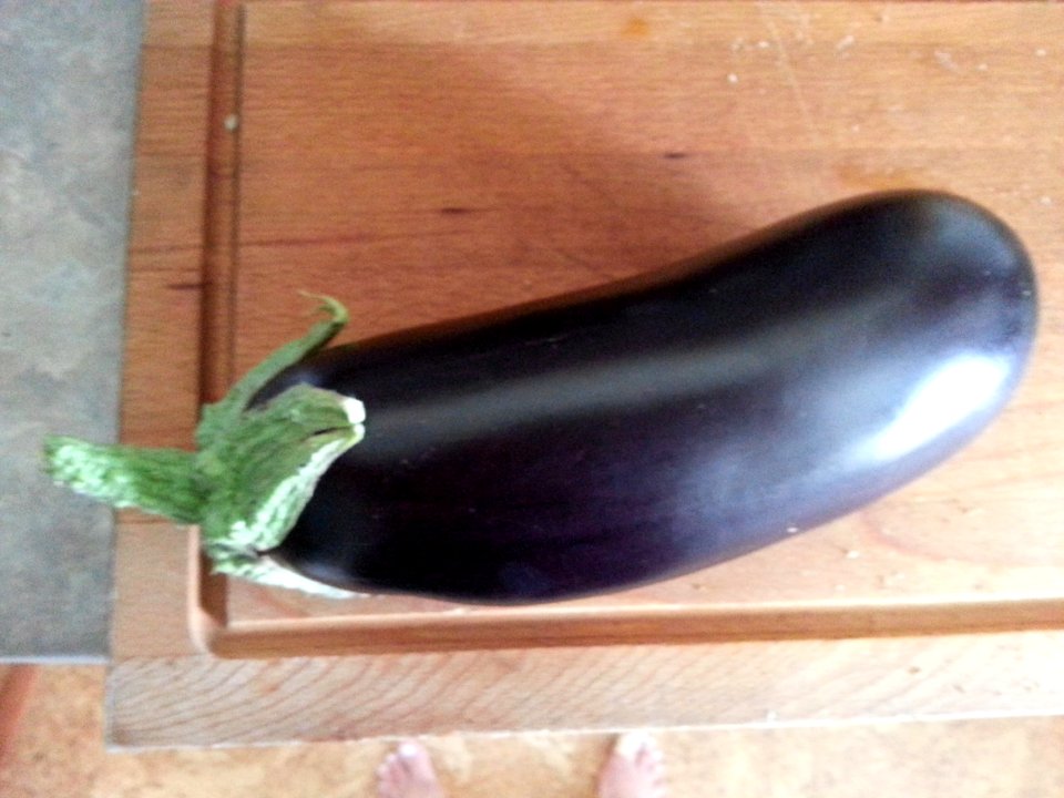 eggplant