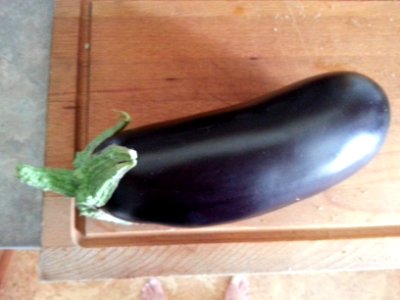 eggplant