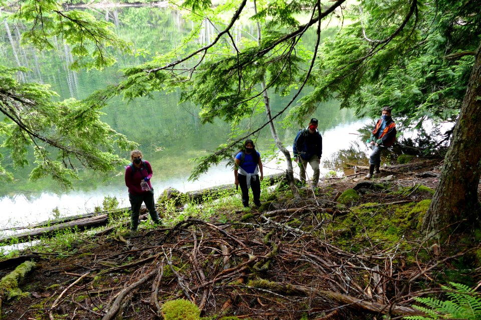 202003 A group surveying for newts at Oympic National Forest.
