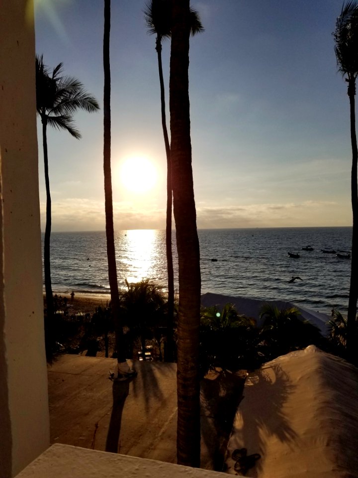 2018-11-08 06-08-31