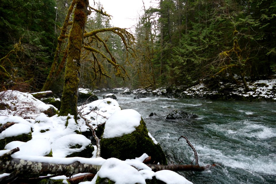 20210217- Duckabush River as seen from Duckabush Trail