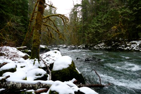 20210217- Duckabush River as seen from Duckabush Trail
