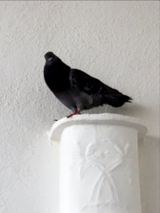 20181108 075446