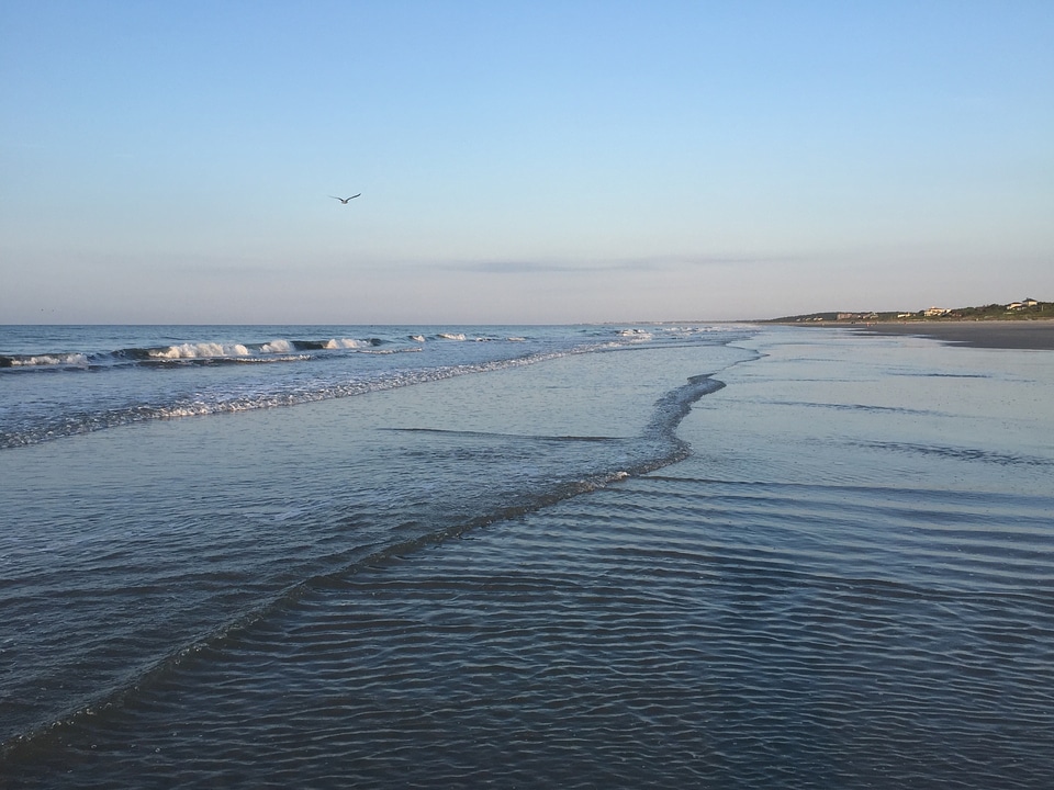 Ocean carolina sand