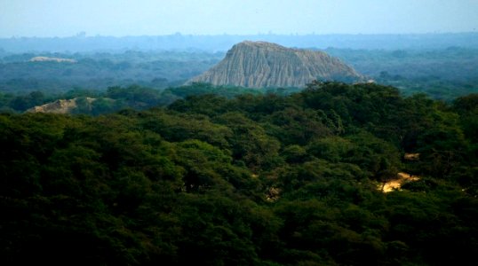Reserva de Pómac, Lambayeque, Perú