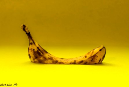 Naufragio amarillo