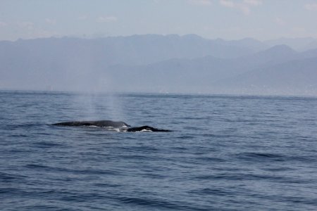 IMG 8543
