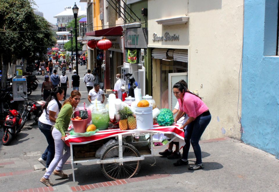 Guadalajara Downtown07