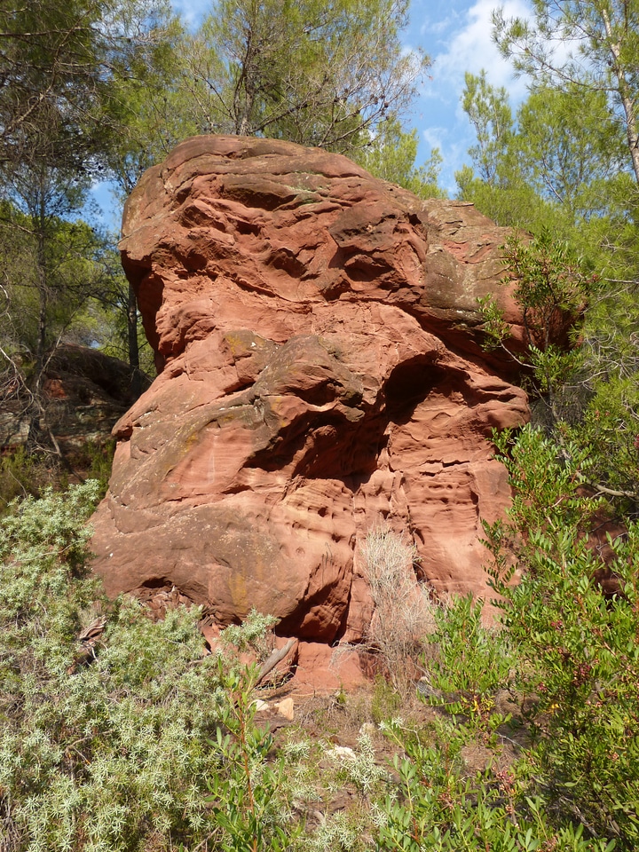 Texture red rock red rocks