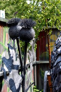 Chelsea Flower Show 2018-5