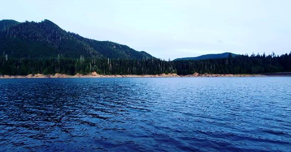 201907 Olympic Wynoochee Lake Photo by Jacob Stodden