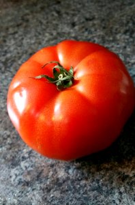 #365 spring tomato photo
