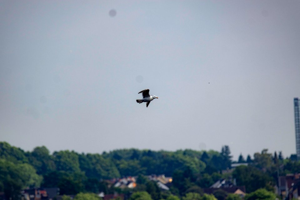 Kiel Juni 2018295