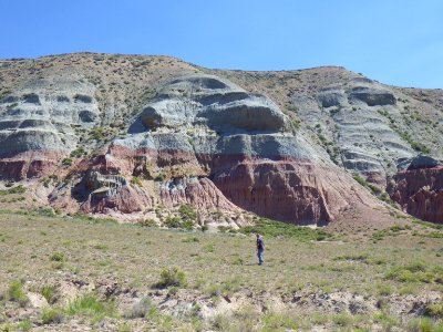 Snyder Honeycomb RSFO RedDesert DennisDoncaster