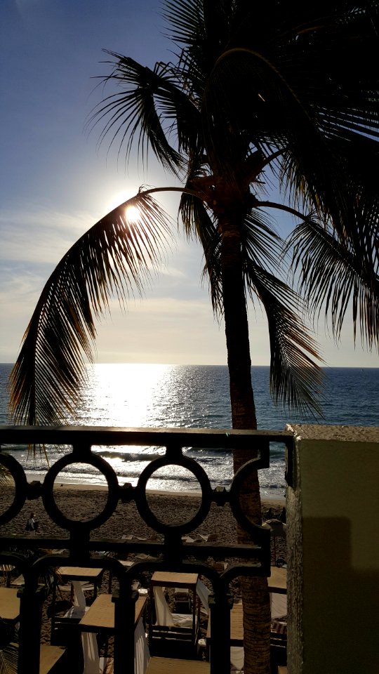 Day 15 365photo Puerto Vallarta