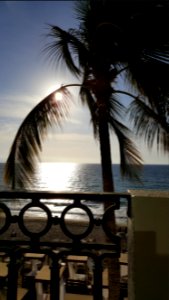 Day 15 365photo Puerto Vallarta