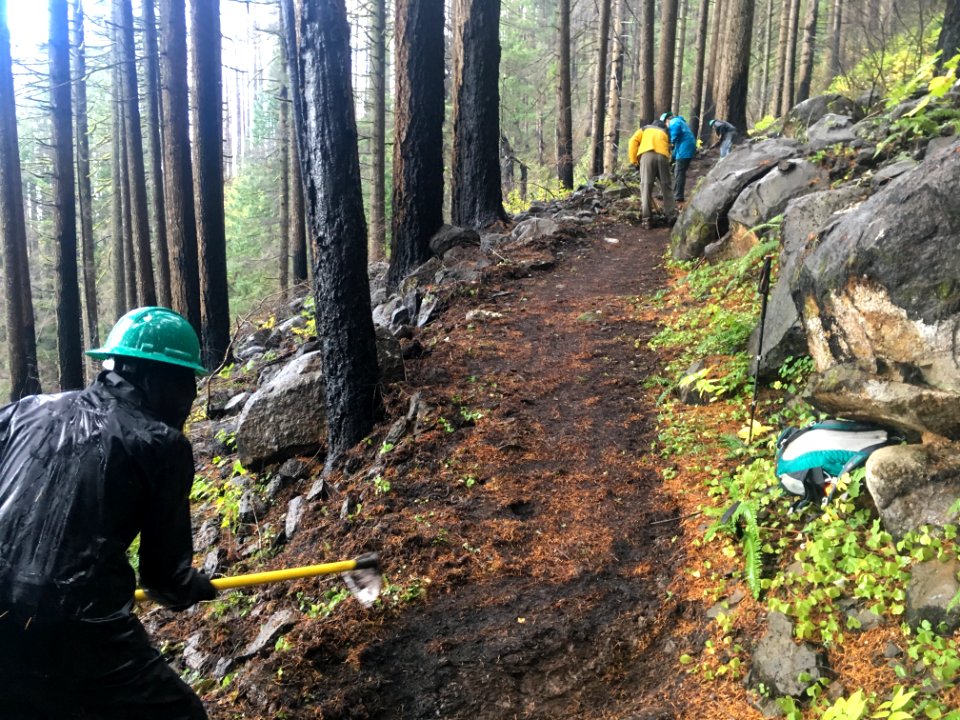 Devils Rest work party with Trailkeepers of Oregon November 3 & 4 2018,  photo by Josh Durham.