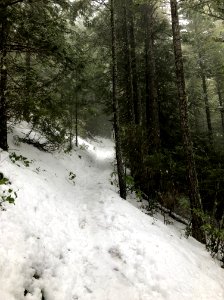 201902 FS Olympic Mt Walker Trail