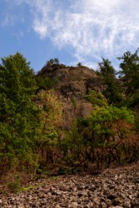 Along the Pacific Crest Trail in July 2018 in the Columbia River Gorge, photo courtesy of through-hiker Eva-Maria Mauz.