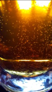 Day 91. Beer bubbles