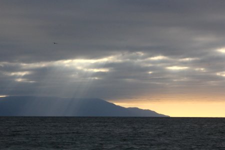 IMG 8399