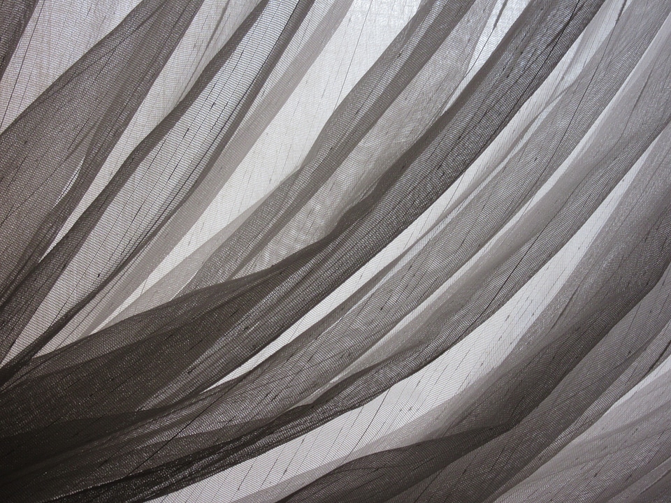Fabric web transparent