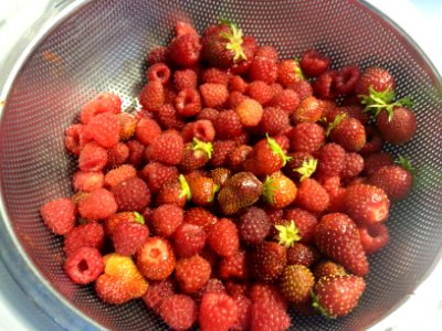 berries